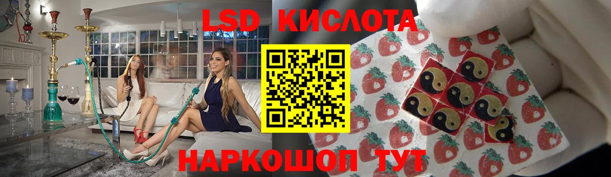 Фрязино  Лсд 25 экстази кислота  Лсд 25 экстази кислота  Вход с VPN 