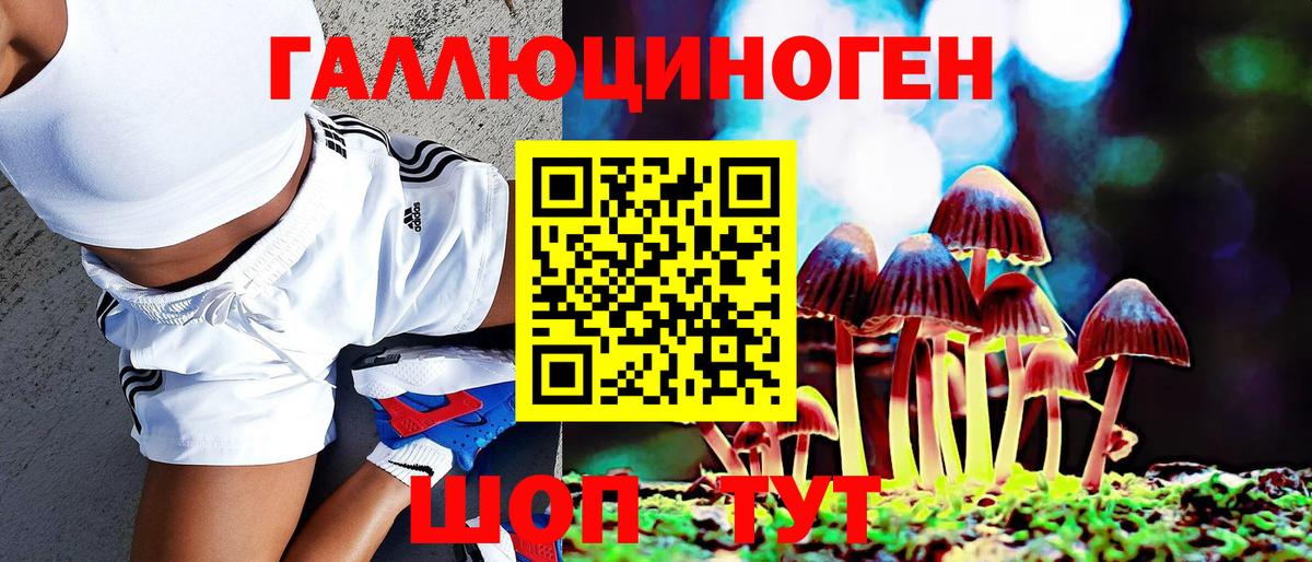 Псилоцибиновые грибы прущие грибы  Вход с VPN  Фрязино 